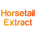 Экстракт хвоща Экстракт хвоща