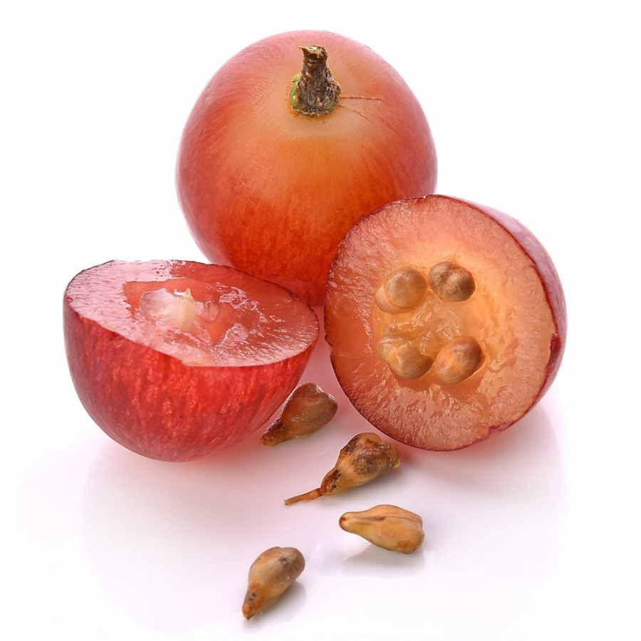 Экстракт виноградных косточек / Grape Seed extract (25 кг, порошок)
