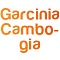 Экстракт гарцинии камбоджийской