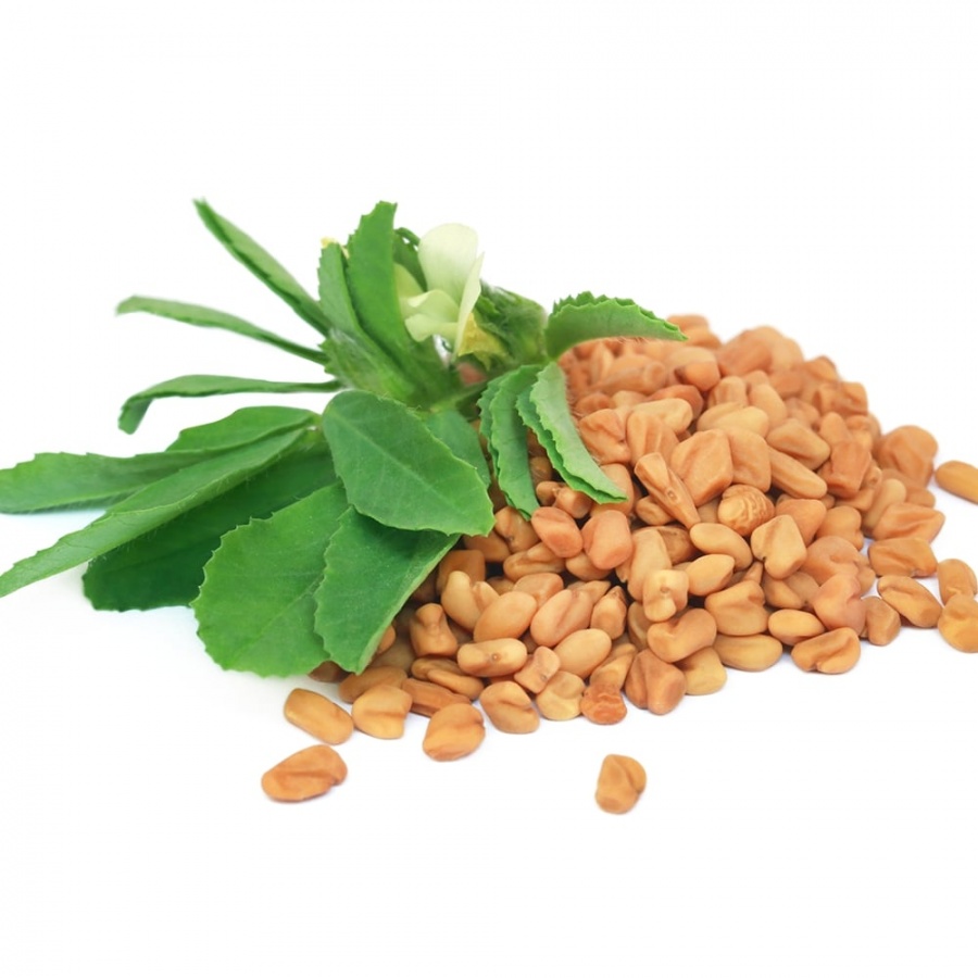 Сырье экстракт пажитника / Fenugreek Seed extract (порошок)