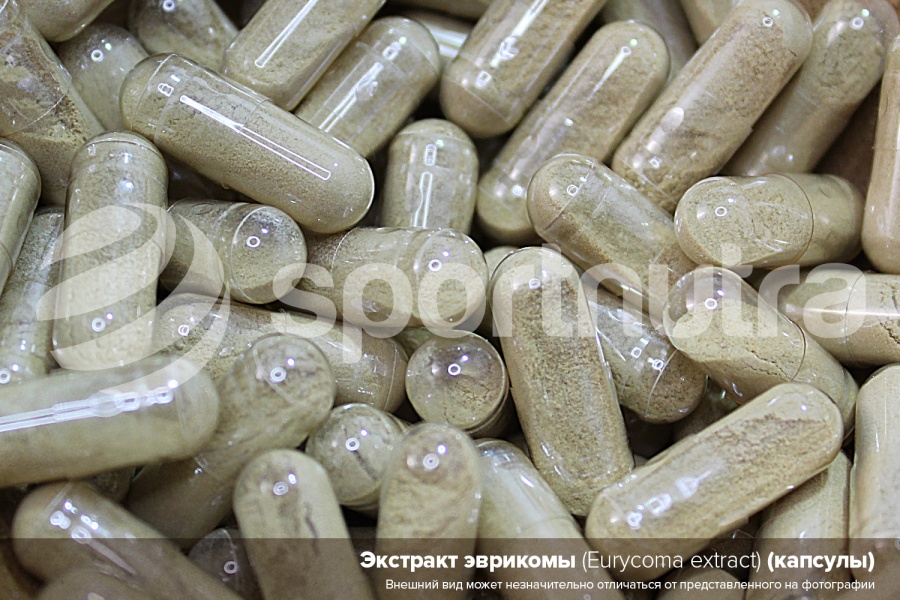 Экстракт эврикомы / Eurycoma extract (капсулы)