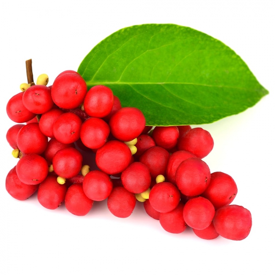 Сырье экстракт лимонника китайского / Schisandra Chinensis extract (порошок)