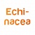 Экстракт эхинацеи
