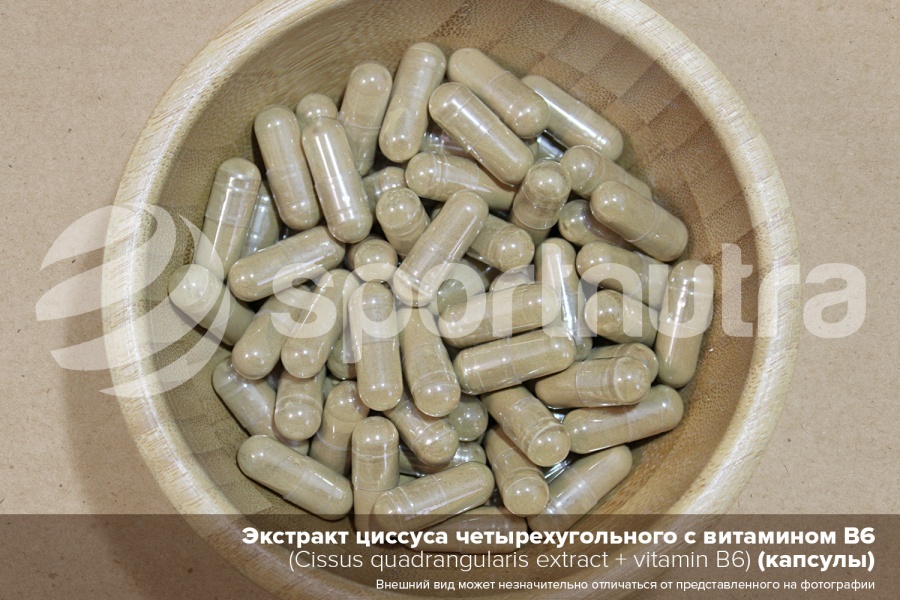 Экстракт циссуса четырехугольного / Cissus Quadrangularis extract (капсулы)