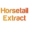 Экстракт хвоща