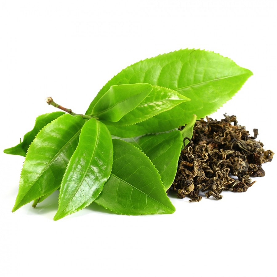 Сырье экстракт зеленого чая / Green Tea extract (порошок)
