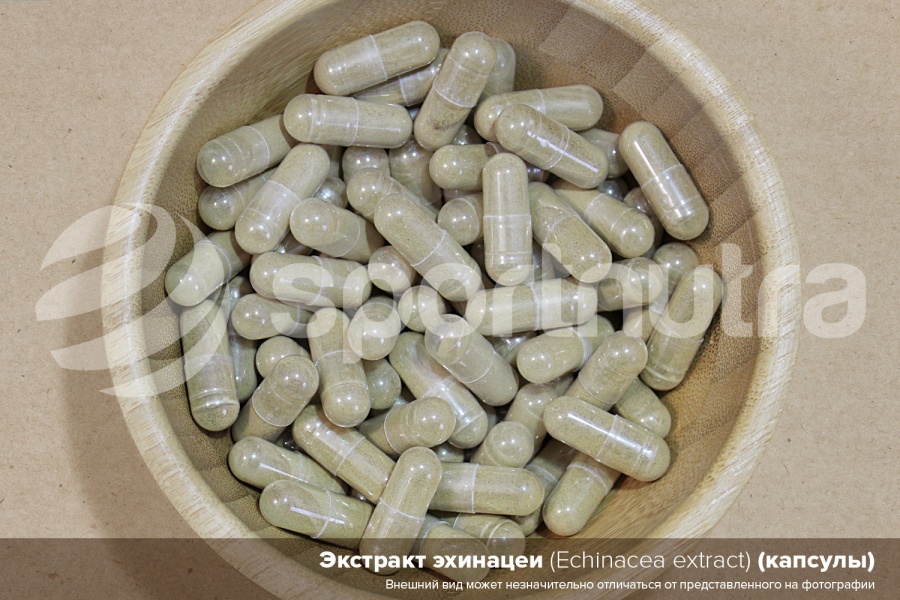 Экстракт эхинацеи / Echinacea extract (капсулы)